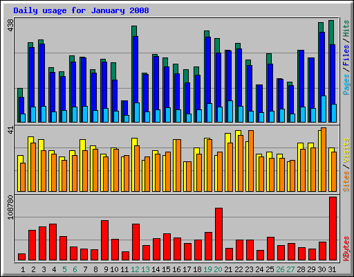 Daily usage for January 2008