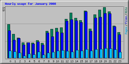 Hourly usage for January 2008